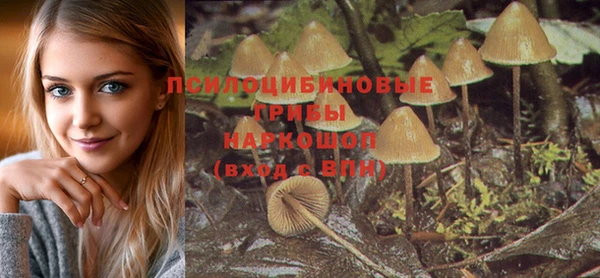 синтетический гашиш Бутурлиновка