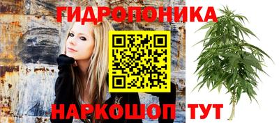 ГАЛЛЮЦИНОГЕННЫЕ ГРИБЫ Долгопрудный