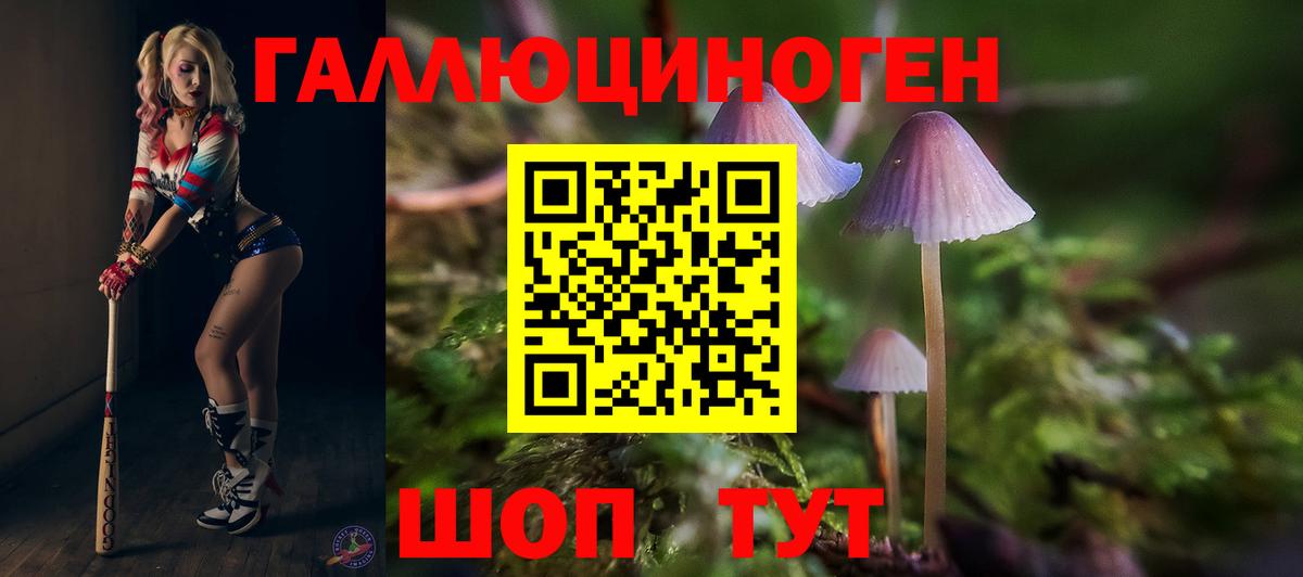 Псилоцибиновые грибы MAGIC MUSHROOMS  Вход с VPN  Коряжма  Галлюциногенные грибы Psilocybine cubensis 